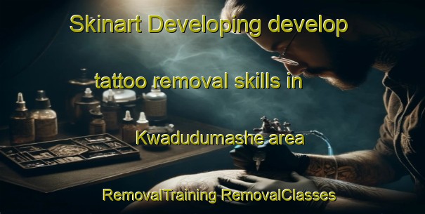 Skinart Developing develop tattoo removal skills in Kwadudumashe area | #RemovalTraining #RemovalClasses #SkinartTraining-South Africa