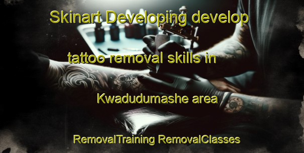 Skinart Developing develop tattoo removal skills in Kwadudumashe area | #RemovalTraining #RemovalClasses #SkinartTraining-South Africa