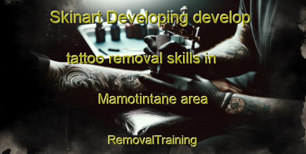 Skinart Developing develop tattoo removal skills in Mamotintane area | RemovalTraining | RemovalClasses | SkinartTraining-South Africa