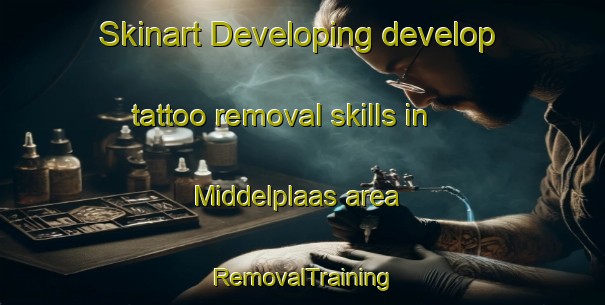 Skinart Developing develop tattoo removal skills in Middelplaas area | RemovalTraining | RemovalClasses | SkinartTraining-South Africa