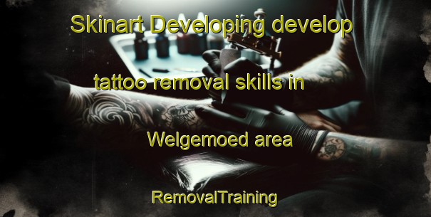 Skinart Developing develop tattoo removal skills in Welgemoed area | RemovalTraining | RemovalClasses | SkinartTraining-South Africa