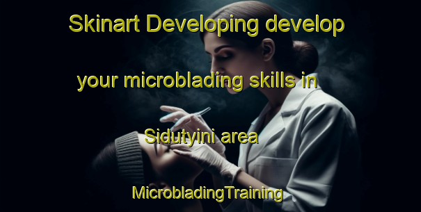 Skinart Developing develop your microblading skills in Sidutyini area | #MicrobladingTraining #MicrobladingClasses #SkinartTraining-South Africa