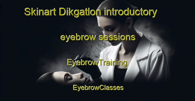 Skinart Dikgatlon introductory eyebrow sessions | EyebrowTraining | EyebrowClasses | SkinartTraining-South Africa