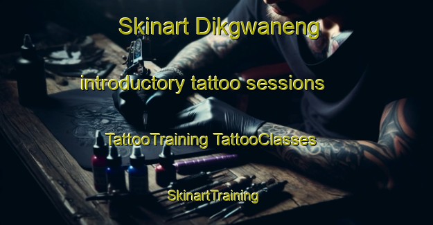 Skinart Dikgwaneng introductory tattoo sessions | #TattooTraining #TattooClasses #SkinartTraining-South Africa