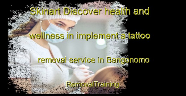 Skinart Discover health and wellness in implement a tattoo removal service in Bangonomo | RemovalTraining | RemovalClasses | SkinartTraining-South Africa