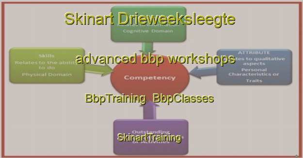 Skinart Drieweeksleegte advanced bbp workshops | BbpTraining | BbpClasses | SkinartTraining-South Africa
