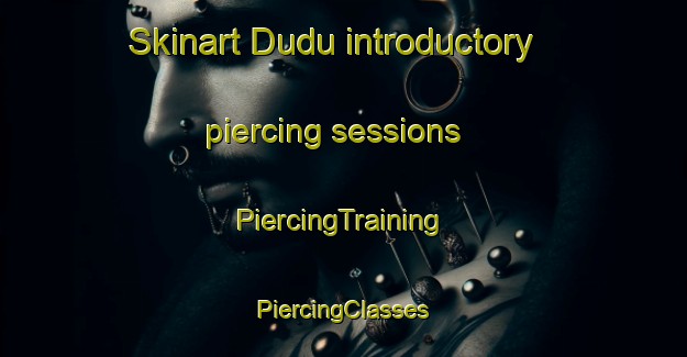 Skinart Dudu introductory piercing sessions | #PiercingTraining #PiercingClasses #SkinartTraining-South Africa