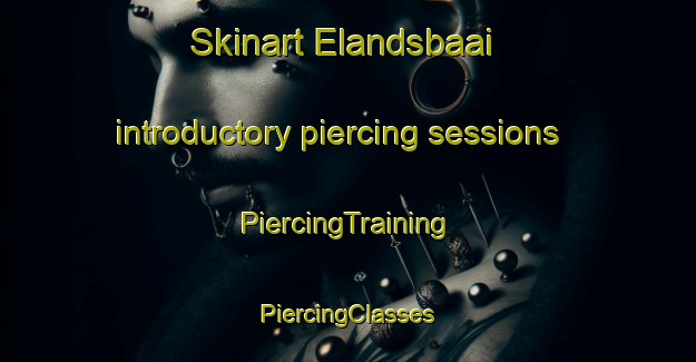 Skinart Elandsbaai introductory piercing sessions | #PiercingTraining #PiercingClasses #SkinartTraining-South Africa