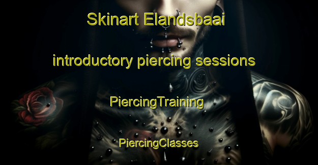 Skinart Elandsbaai introductory piercing sessions | #PiercingTraining #PiercingClasses #SkinartTraining-South Africa