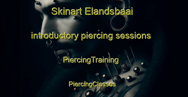 Skinart Elandsbaai introductory piercing sessions | PiercingTraining | PiercingClasses | SkinartTraining-South Africa