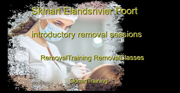 Skinart Elandsrivier Poort introductory removal sessions | #RemovalTraining #RemovalClasses #SkinartTraining-South Africa