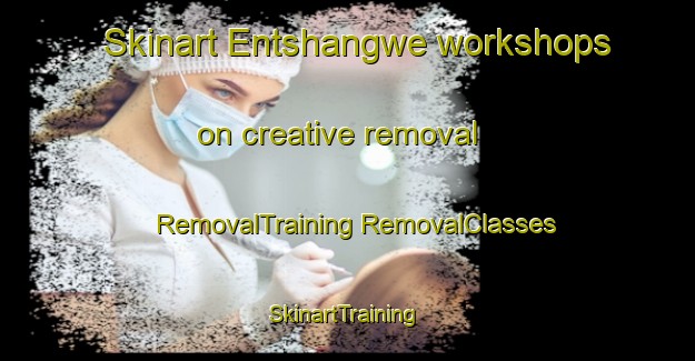 Skinart Entshangwe workshops on creative removal | #RemovalTraining #RemovalClasses #SkinartTraining-South Africa