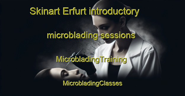 Skinart Erfurt introductory microblading sessions | #MicrobladingTraining #MicrobladingClasses #SkinartTraining-South Africa