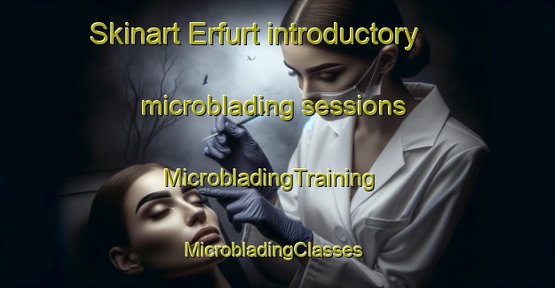 Skinart Erfurt introductory microblading sessions | MicrobladingTraining | MicrobladingClasses | SkinartTraining-South Africa