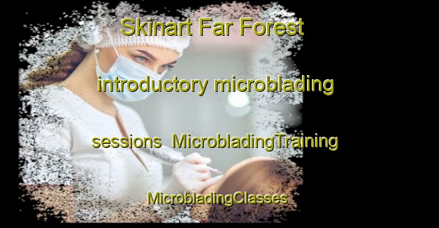 Skinart Far Forest introductory microblading sessions | MicrobladingTraining | MicrobladingClasses | SkinartTraining-South Africa