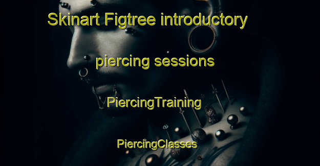Skinart Figtree introductory piercing sessions | PiercingTraining | PiercingClasses | SkinartTraining-South Africa