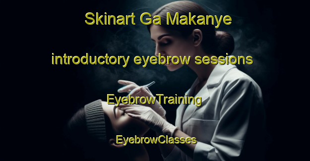 Skinart Ga Makanye introductory eyebrow sessions | EyebrowTraining | EyebrowClasses | SkinartTraining-South Africa