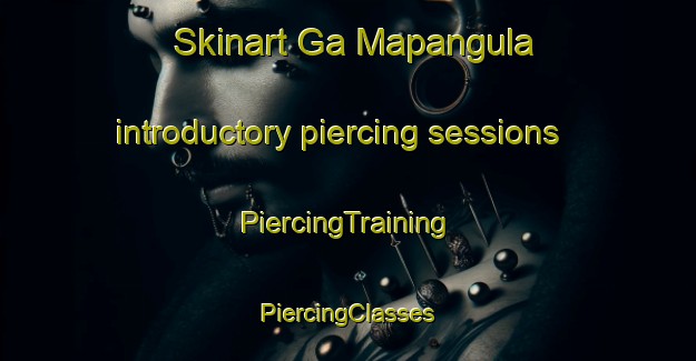 Skinart Ga Mapangula introductory piercing sessions | #PiercingTraining #PiercingClasses #SkinartTraining-South Africa