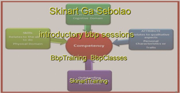 Skinart Ga Sebolao introductory bbp sessions | BbpTraining | BbpClasses | SkinartTraining-South Africa