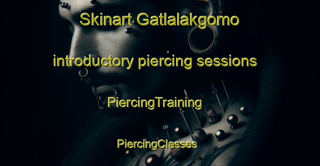 Skinart Gatlalakgomo introductory piercing sessions | PiercingTraining | PiercingClasses | SkinartTraining-South Africa