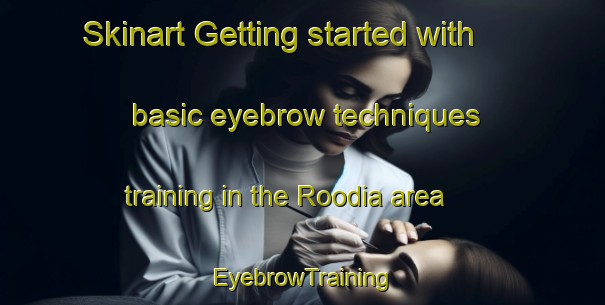Skinart Getting started with basic eyebrow techniques training in the Roodia area | EyebrowTraining | EyebrowClasses | SkinartTraining-South Africa