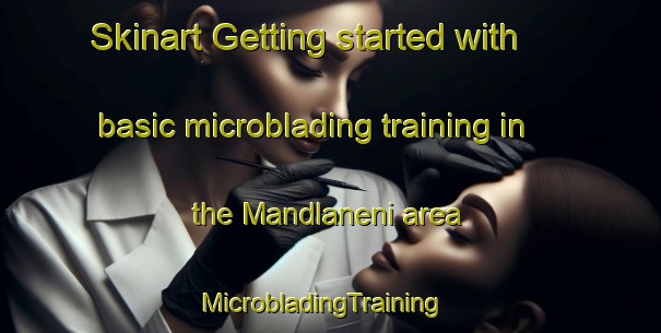Skinart Getting started with basic microblading training in the Mandlaneni area | MicrobladingTraining | MicrobladingClasses | SkinartTraining-South Africa