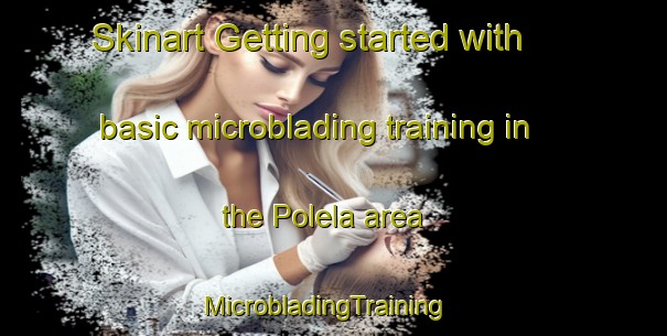 Skinart Getting started with basic microblading training in the Polela area | MicrobladingTraining | MicrobladingClasses | SkinartTraining-South Africa