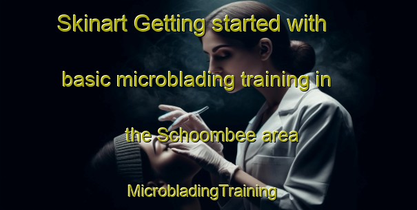 Skinart Getting started with basic microblading training in the Schoombee area | MicrobladingTraining | MicrobladingClasses | SkinartTraining-South Africa