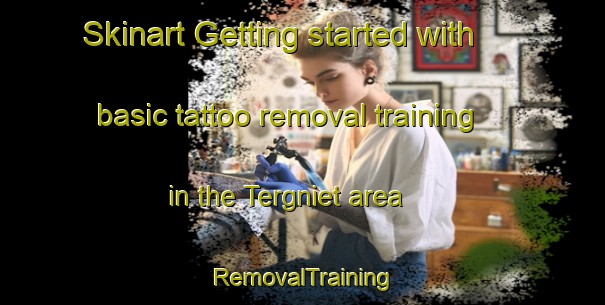 Skinart Getting started with basic tattoo removal training in the Tergniet area | RemovalTraining | RemovalClasses | SkinartTraining-South Africa