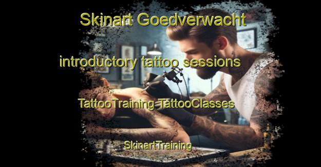 Skinart Goedverwacht introductory tattoo sessions | #TattooTraining #TattooClasses #SkinartTraining-South Africa