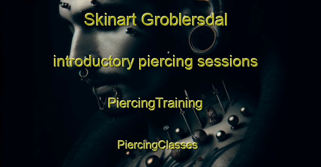 Skinart Groblersdal introductory piercing sessions | PiercingTraining | PiercingClasses | SkinartTraining-South Africa