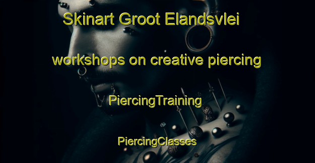 Skinart Groot Elandsvlei workshops on creative piercing | #PiercingTraining #PiercingClasses #SkinartTraining-South Africa