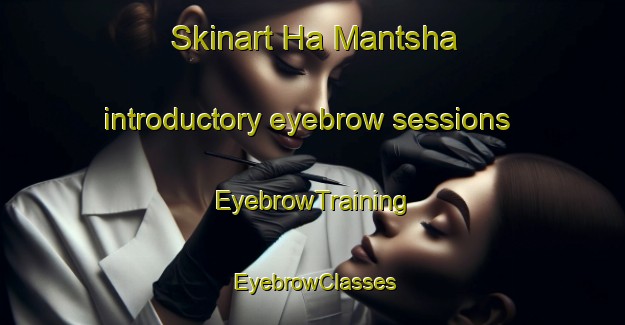 Skinart Ha Mantsha introductory eyebrow sessions | EyebrowTraining | EyebrowClasses | SkinartTraining-South Africa