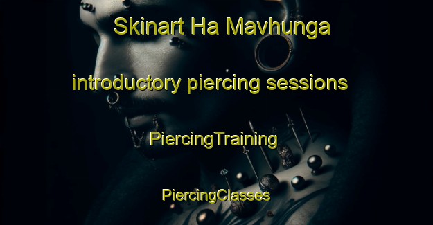 Skinart Ha Mavhunga introductory piercing sessions | #PiercingTraining #PiercingClasses #SkinartTraining-South Africa