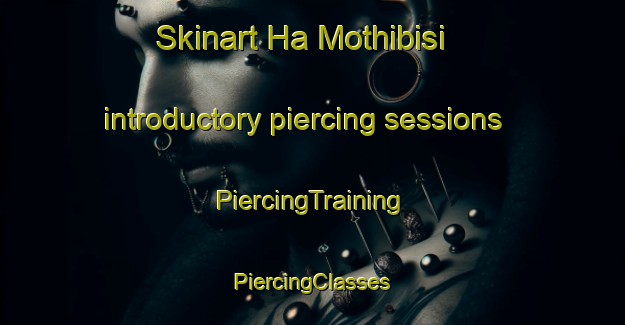 Skinart Ha Mothibisi introductory piercing sessions | #PiercingTraining #PiercingClasses #SkinartTraining-South Africa