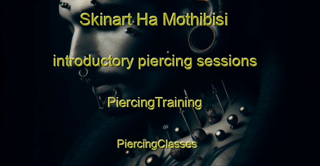 Skinart Ha Mothibisi introductory piercing sessions | PiercingTraining | PiercingClasses | SkinartTraining-South Africa