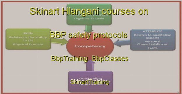 Skinart Hlangani courses on BBP safety protocols | BbpTraining | BbpClasses | SkinartTraining-South Africa