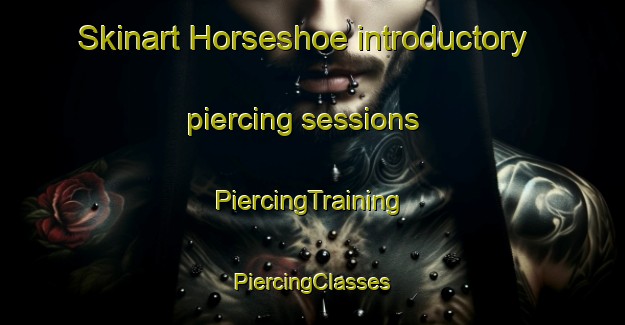 Skinart Horseshoe introductory piercing sessions | #PiercingTraining #PiercingClasses #SkinartTraining-South Africa