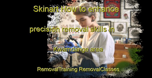 Skinart How to enhance precision removal skills in Kwamdange area | #RemovalTraining #RemovalClasses #SkinartTraining-South Africa