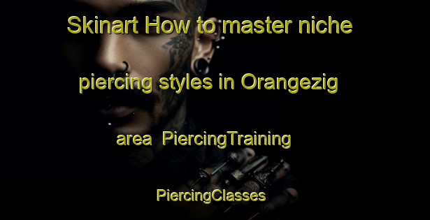 Skinart How to master niche piercing styles in Orangezig area | PiercingTraining | PiercingClasses | SkinartTraining-South Africa