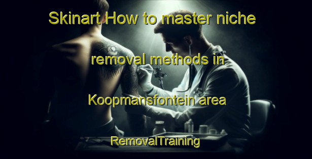Skinart How to master niche removal methods in Koopmansfontein area | RemovalTraining | RemovalClasses | SkinartTraining-South Africa