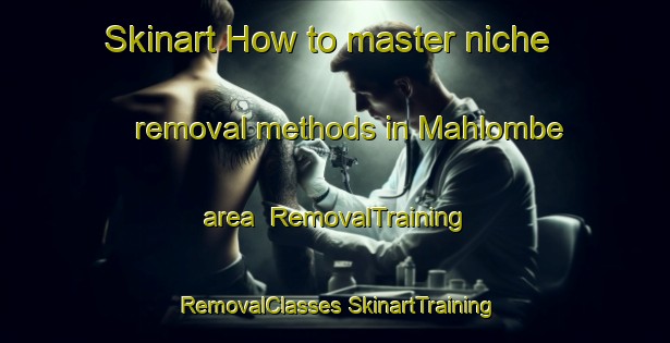 Skinart How to master niche removal methods in Mahlombe area | #RemovalTraining #RemovalClasses #SkinartTraining-South Africa