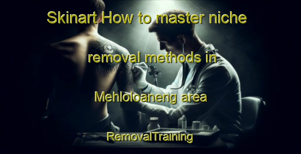 Skinart How to master niche removal methods in Mehloloaneng area | RemovalTraining | RemovalClasses | SkinartTraining-South Africa