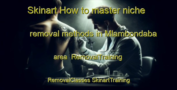 Skinart How to master niche removal methods in Mlambondaba area | #RemovalTraining #RemovalClasses #SkinartTraining-South Africa