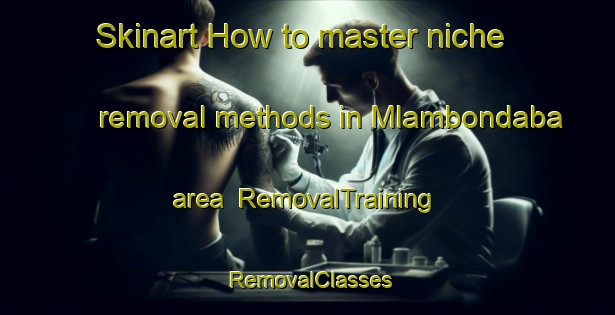 Skinart How to master niche removal methods in Mlambondaba area | RemovalTraining | RemovalClasses | SkinartTraining-South Africa