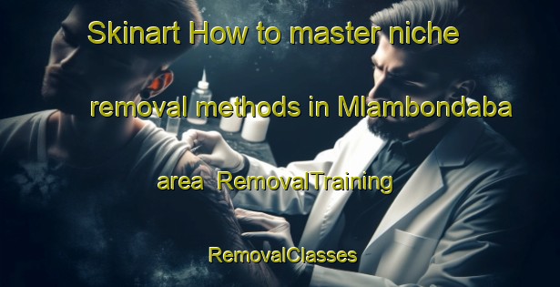 Skinart How to master niche removal methods in Mlambondaba area | RemovalTraining | RemovalClasses | SkinartTraining-South Africa