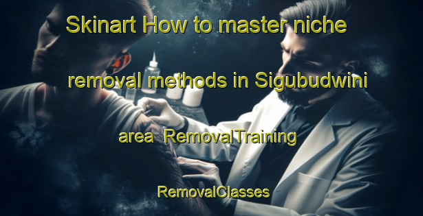 Skinart How to master niche removal methods in Sigubudwini area | RemovalTraining | RemovalClasses | SkinartTraining-South Africa