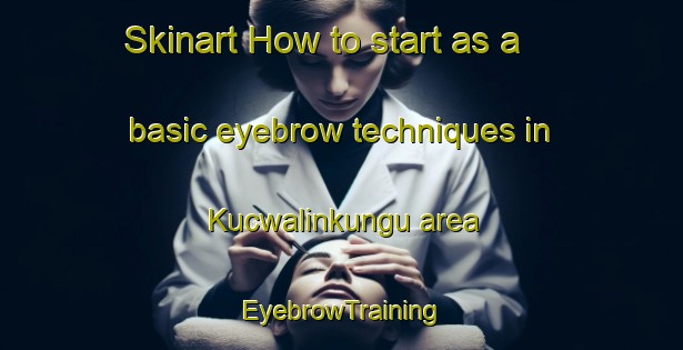 Skinart How to start as a basic eyebrow techniques in Kucwalinkungu area | EyebrowTraining | EyebrowClasses | SkinartTraining-South Africa