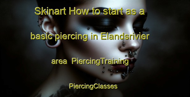 Skinart How to start as a basic piercing in Elandsrivier area | PiercingTraining | PiercingClasses | SkinartTraining-South Africa