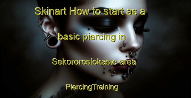 Skinart How to start as a basic piercing in Sekororoslokasie area | PiercingTraining | PiercingClasses | SkinartTraining-South Africa